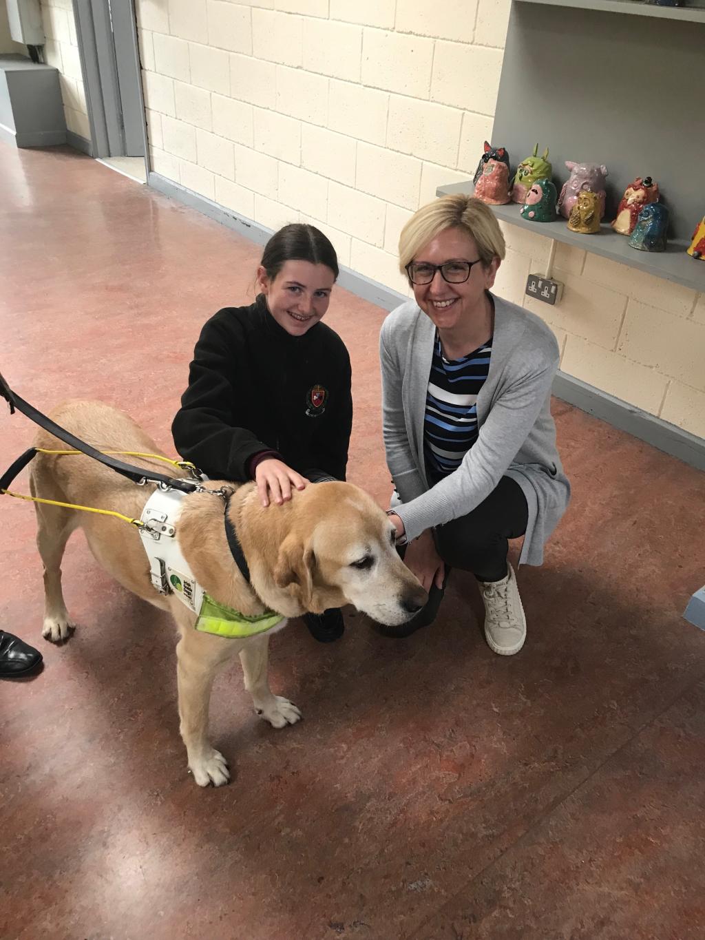 irish guide dogs school visits