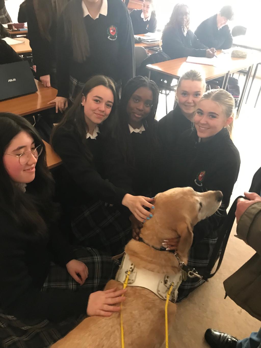 irish guide dogs school visits